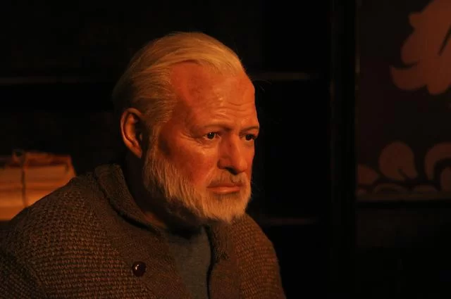 Фото: accsalgueiro0 / pixabay.com Эрнест