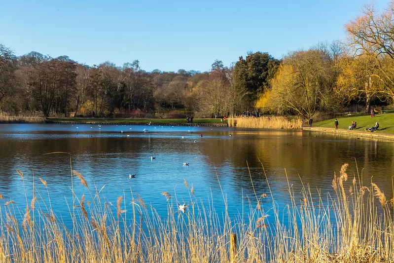 Парки Лондона: Хамстед-Хит Парки Лондона