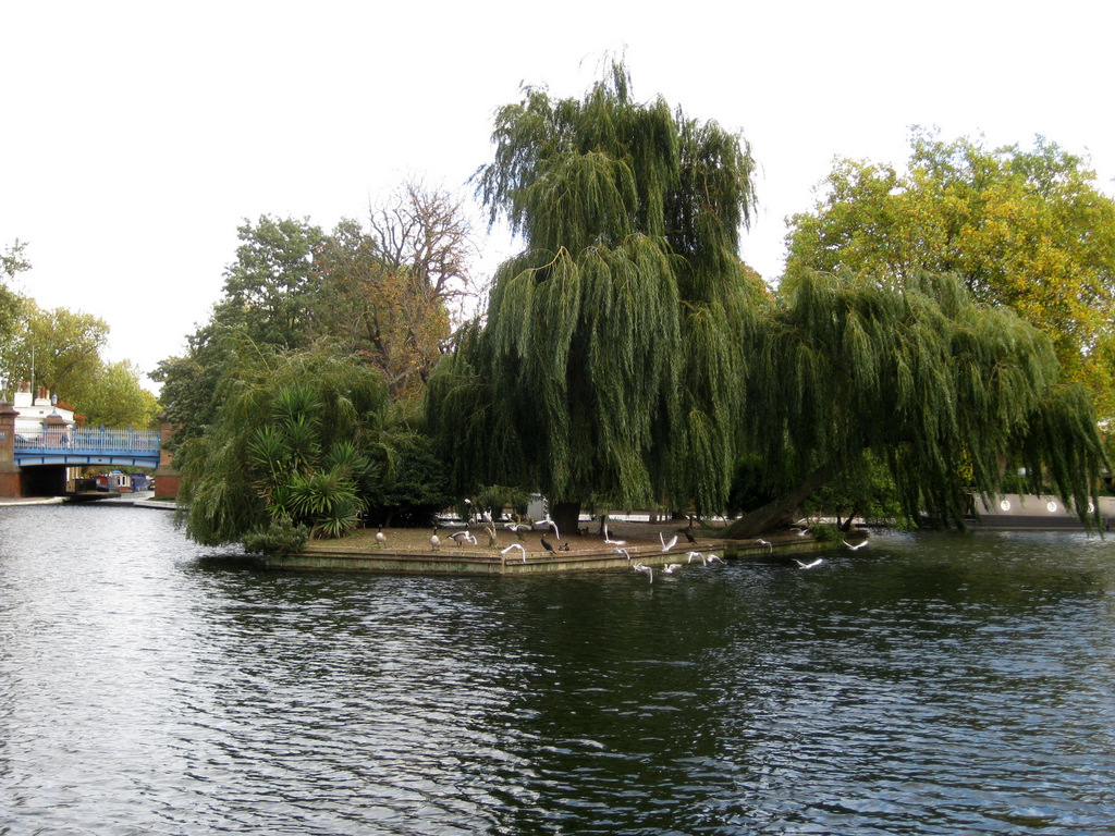 Little Venice Паддингтон