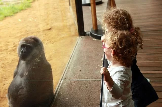 Дети в зоопарке