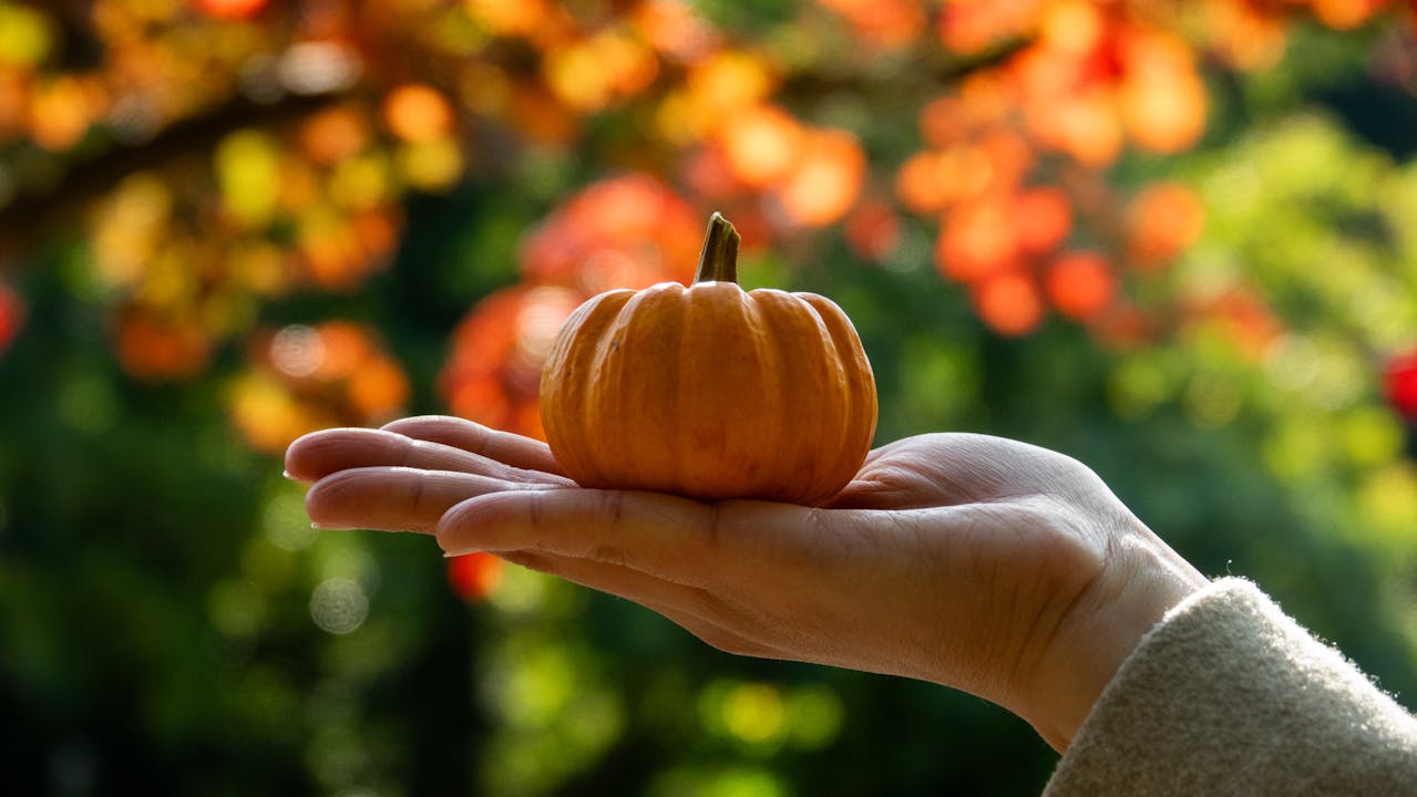 Хэллоуин в Лондоне