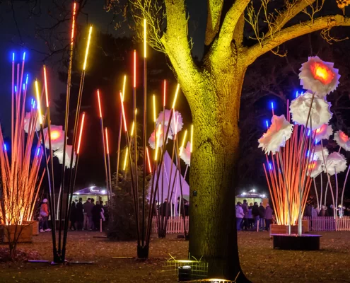 Рождество в Кью