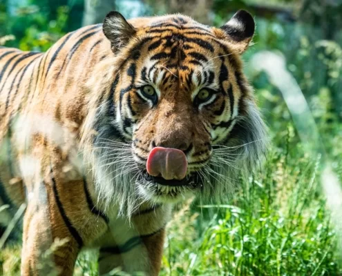 достопримечательностей Лондона