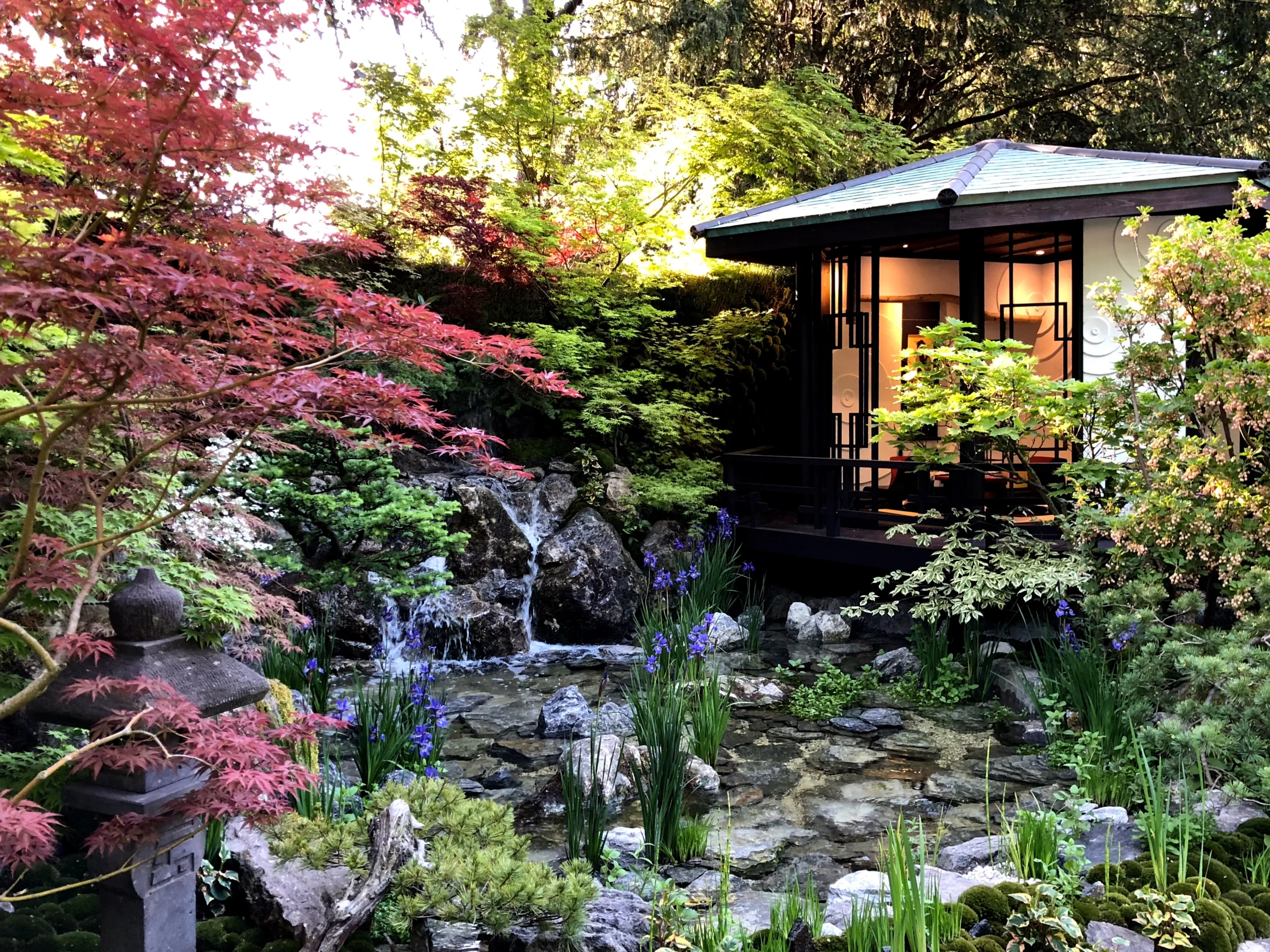 Выставка цветов в Челси