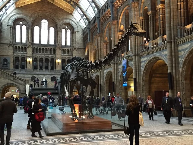 Диплодок Диппи