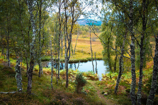 Cairngorms National Park