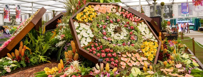 Выставка цветов в Челси