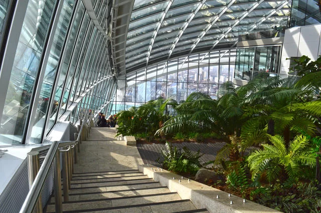 Смотровая площадка Смотровая площадка