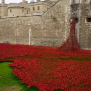 15279085926_9853e7f043_c Тауэр