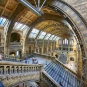 museum-4206805_640 Музей Естествознания