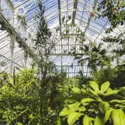 nature-4151856_640 Сады Кью