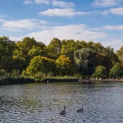 45230838921_a3605bb4b1_c Hyde Park