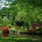 40466592860_a8625e9778_c Апрель