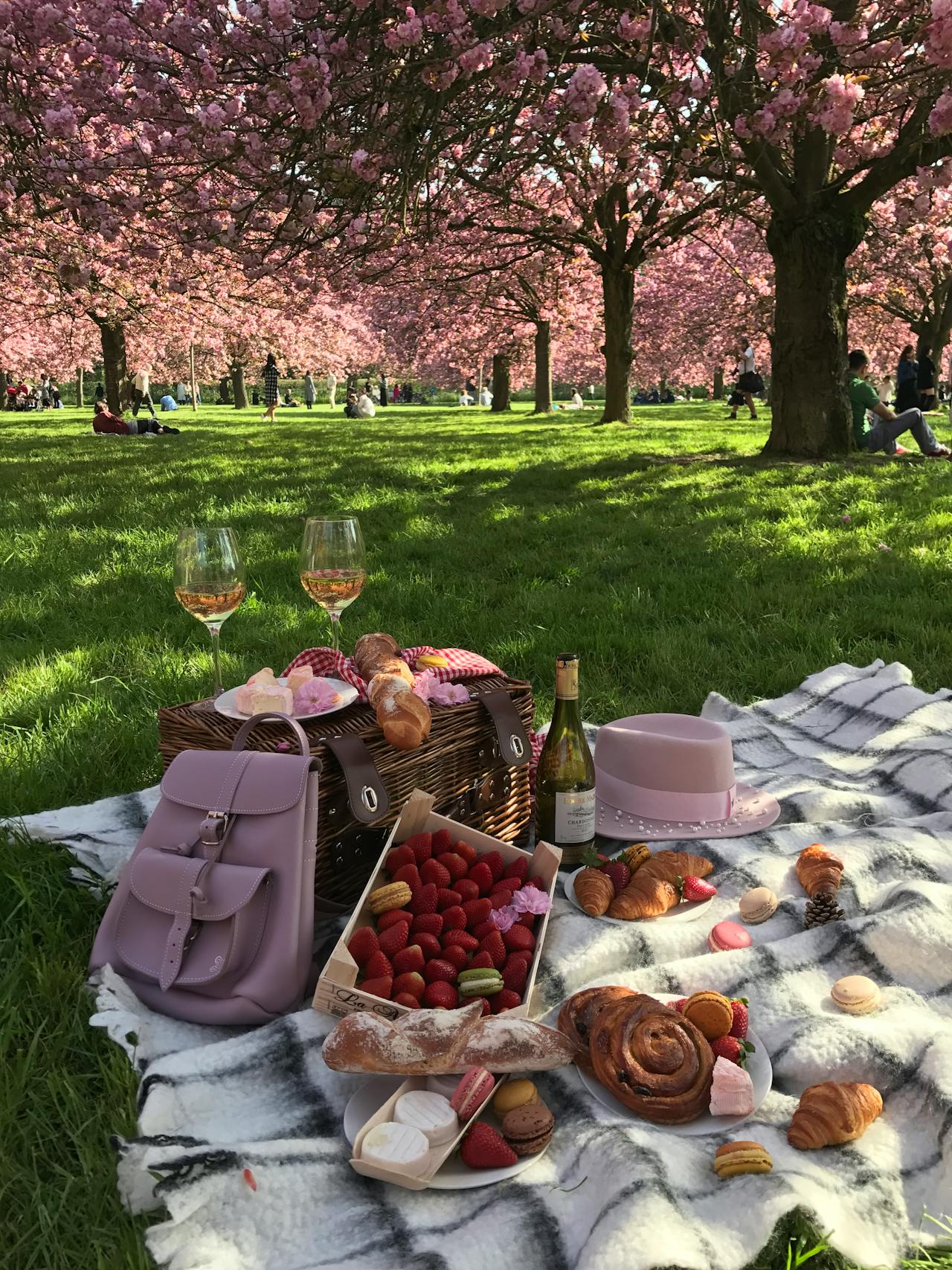 Пикник в Гринвич-парке, на аллее сакур