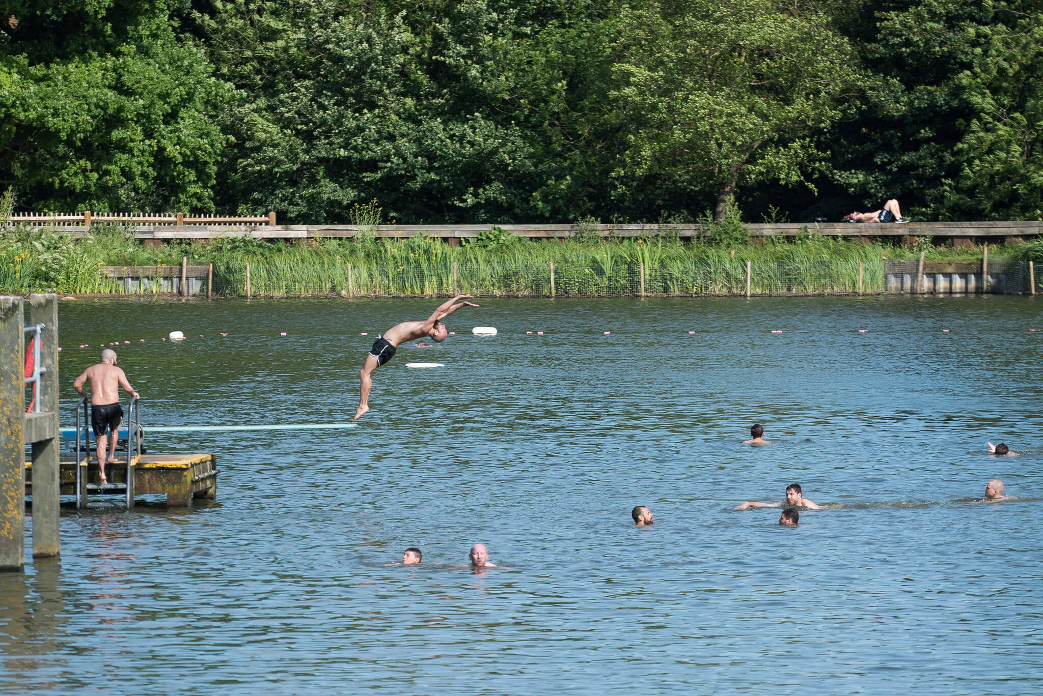 Hampstead Heath Ponds